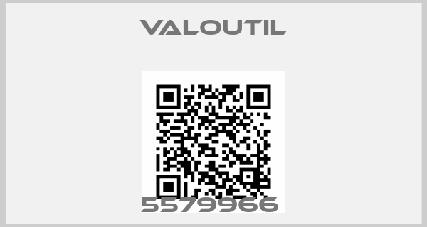 VALOUTIL-5579966 