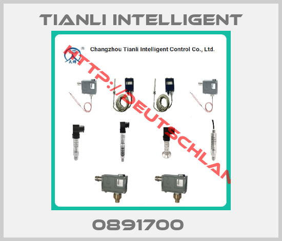 Tianli Intelligent-0891700 