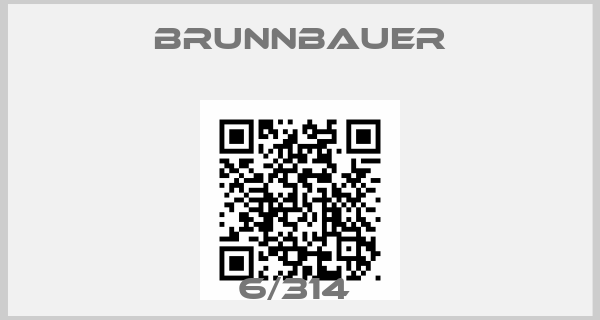Brunnbauer-6/314 