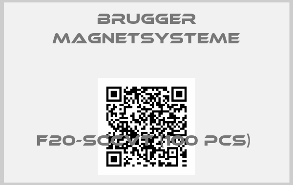 BRUGGER MAGNETSYSTEME-F20-SCCvT (100 pcs) 