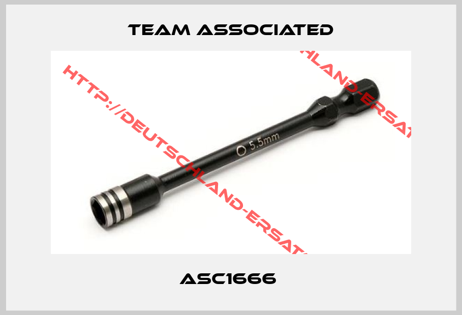 Team Associated-ASC1666 