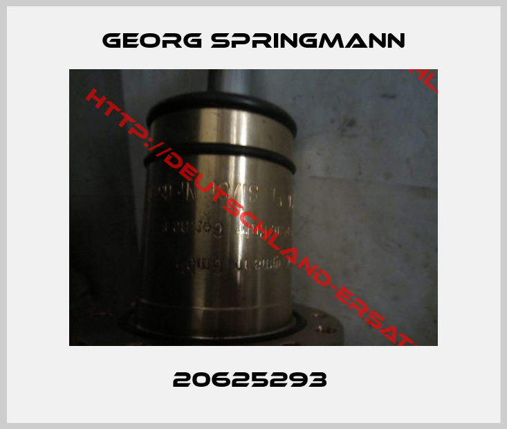 Georg Springmann-20625293 