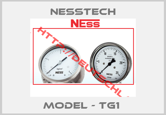 Nesstech-Model - TG1 