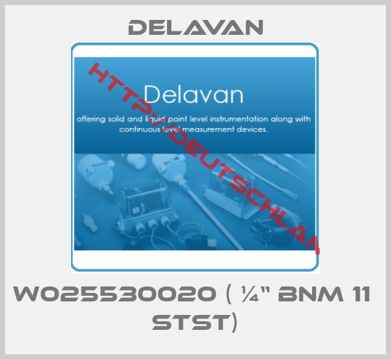 Delavan-W025530020 ( ¼“ BNM 11  STST)
