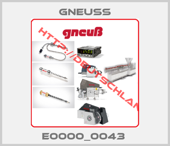 Gneuss-E0000_0043 