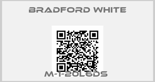 Bradford White-M-1-20L6DS 