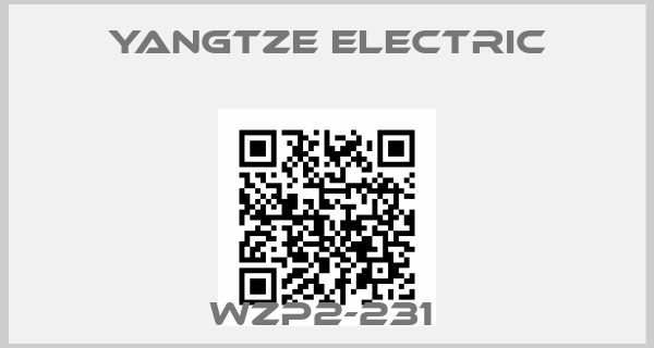 Yangtze Electric-WZP2-231 