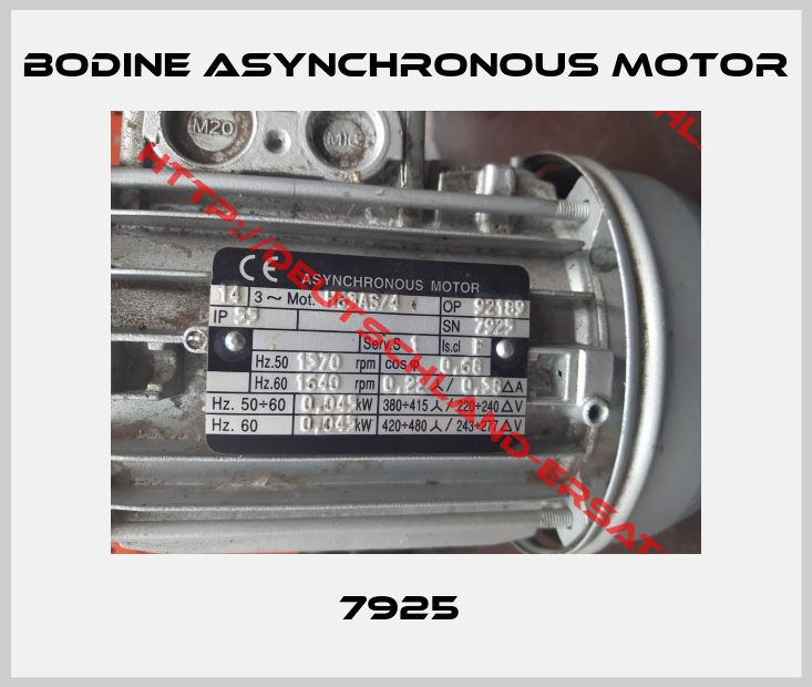 BODINE Asynchronous motor-7925 