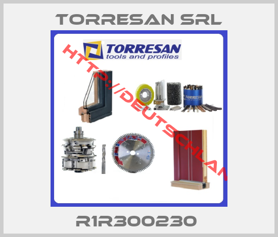 Torresan Srl-R1R300230 