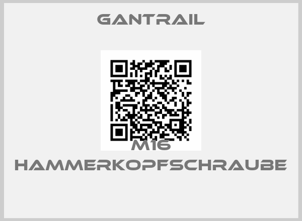 Gantrail-M16 HAMMERKOPFSCHRAUBE 