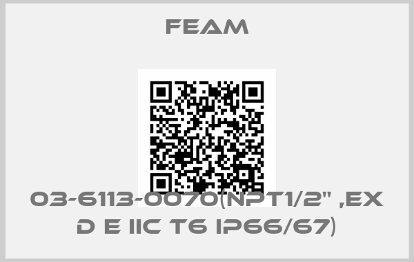 Feam-03-6113-0070(NPT1/2" ,Ex d e IIC T6 IP66/67)