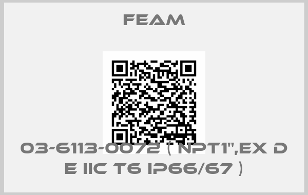 Feam-03-6113-0072 ( NPT1",Ex d e IIC T6 IP66/67 )