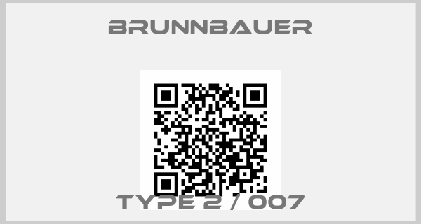 Brunnbauer-TYPE 2 / 007