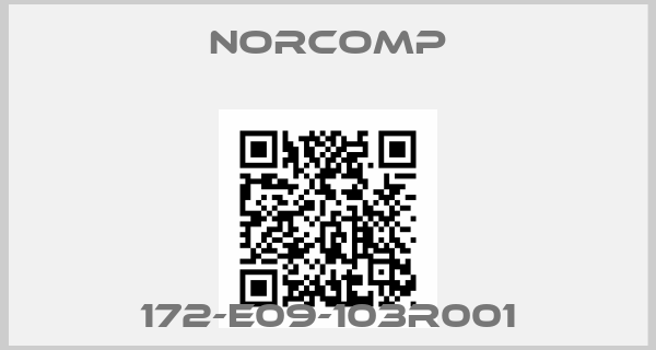 Norcomp-172-E09-103R001