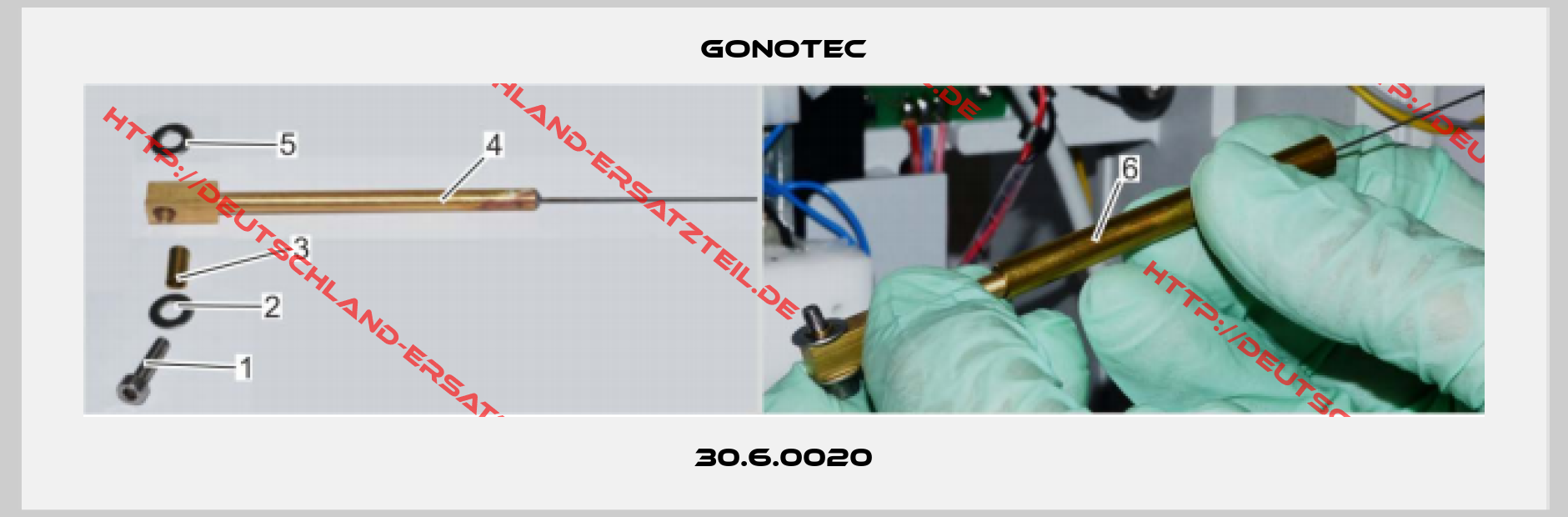 Gonotec-30.6.0020