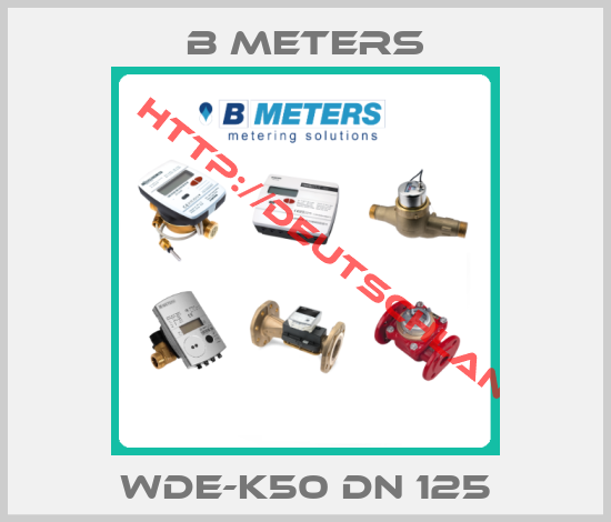B Meters-WDE-K50 DN 125
