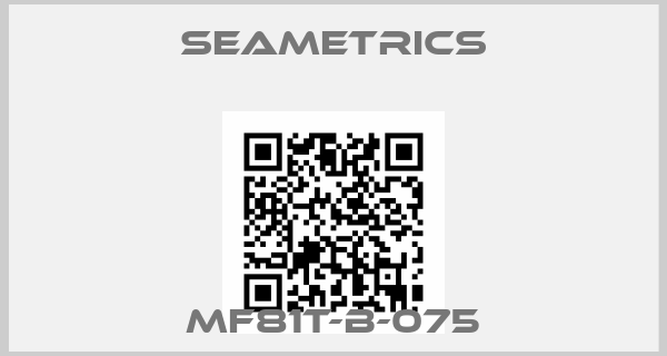 Seametrics-MF81T-B-075