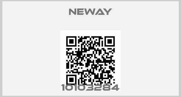 neway-10103284