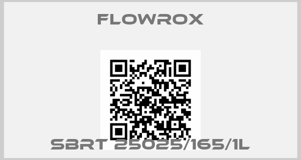 Flowrox-SBRT 25025/165/1L