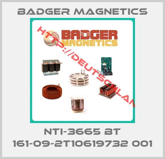 Badger Magnetics-NTI-3665 BT 161-09-2T10619732 001