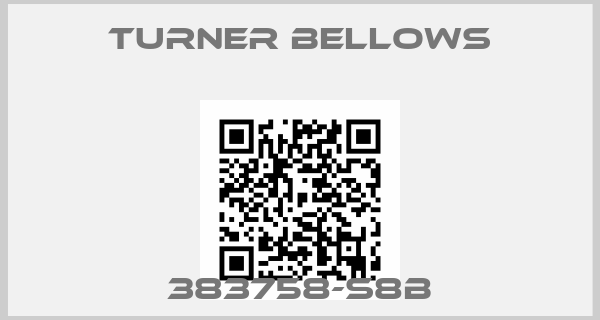 Turner Bellows-383758-S8B