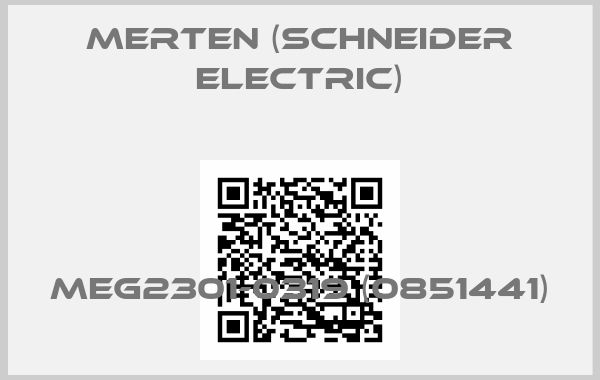 Merten (Schneider Electric)-MEG2301-0319 (0851441)