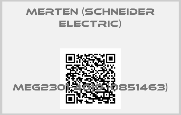 Merten (Schneider Electric)-MEG2301-4019 (0851463)