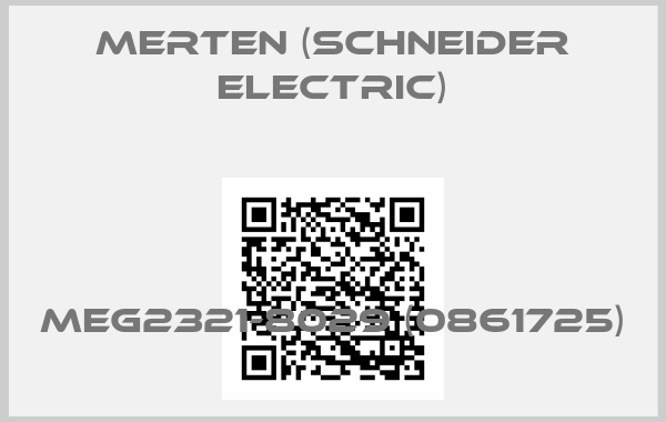 Merten (Schneider Electric)-MEG2321-8029 (0861725)