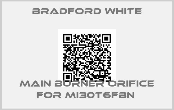 Bradford White-Main Burner Orifice for MI30T6FBN 
