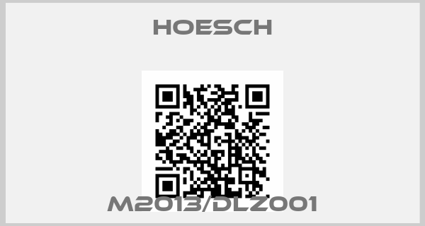 Hoesch-M2013/DLZ001