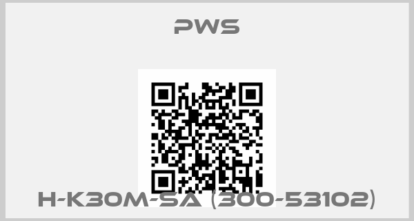 Pws-H-K30m-SA (300-53102)