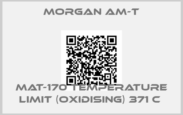 Morgan AM-T-MAT-170 TEMPERATURE LIMIT (OXIDISING) 371 C 