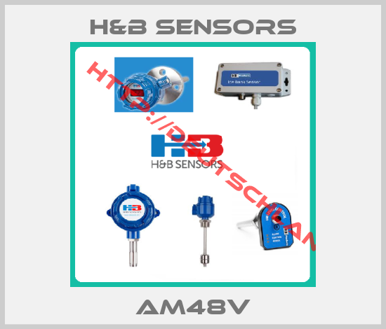H&B Sensors-AM48V