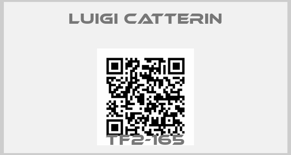 Luigi catterin-TF2-165