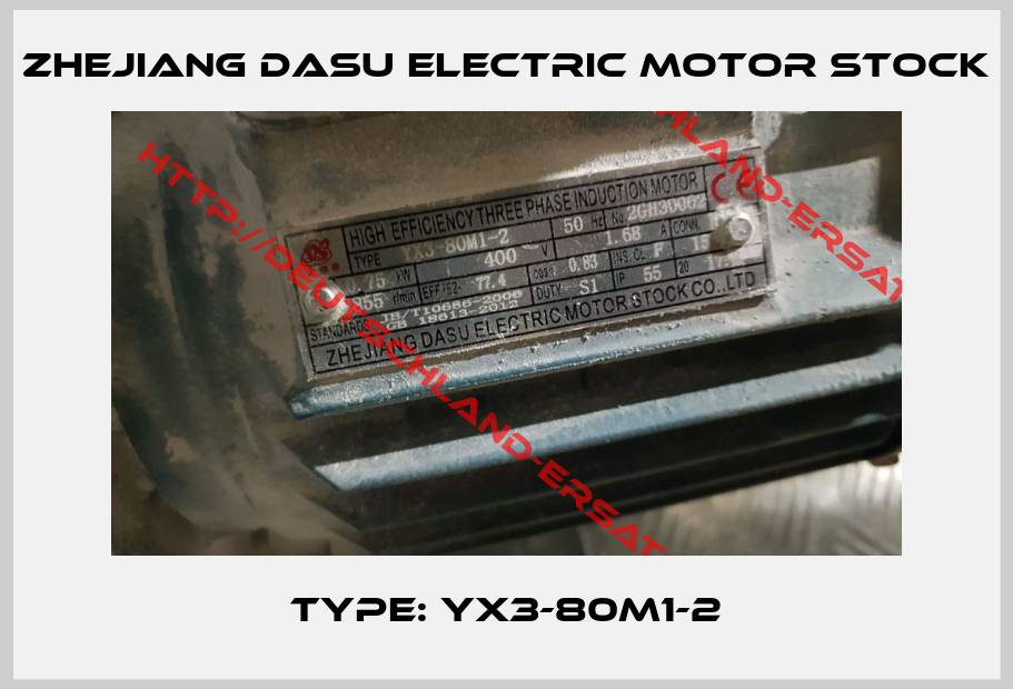 Zhejiang Dasu Electric Motor Stock-Type: YX3-80M1-2