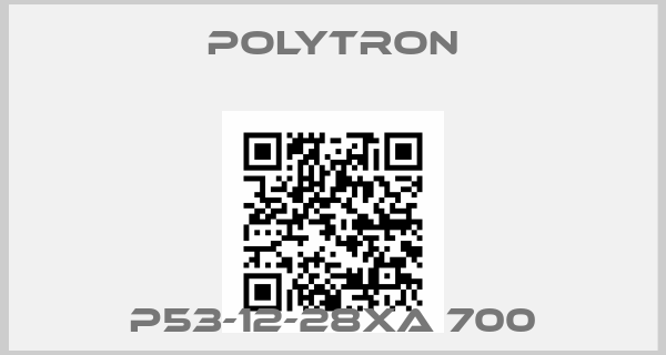 Polytron-P53-12-28XA 700
