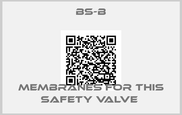 BS-B-MEMBRANES FOR THIS SAFETY VALVE 