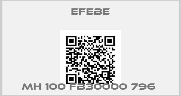 Efebe-MH 100 FB30000 796 