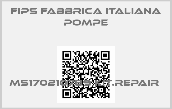 Fips Fabbrica Italiana Pompe-MS170210789 KIT.REPAIR 