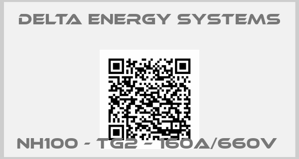 Delta Energy Systems-NH100 - TG2 – 160A/660V 
