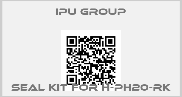 IPU Group-Seal kit for H-PH20-RK