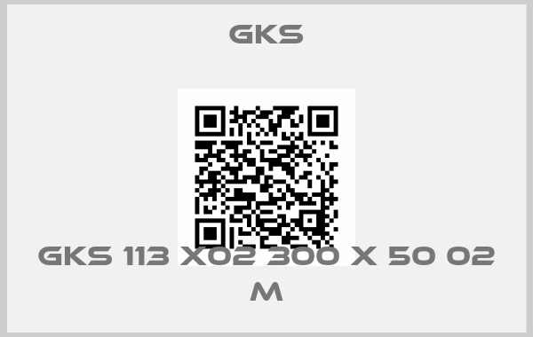 Gks-GKS 113 x02 300 x 50 02 M