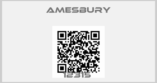 Amesbury-12315 