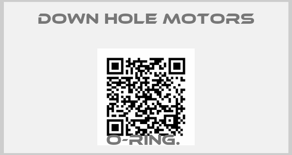 Down Hole Motors-O-RING. 