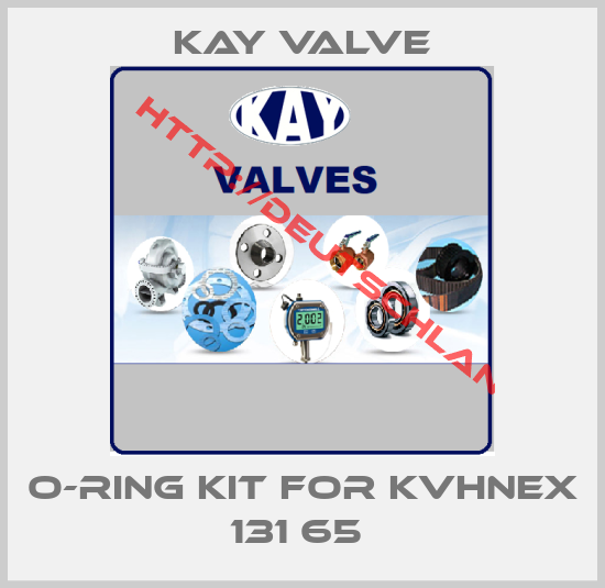 Kay Valve-O-ring kit for KVHNEX 131 65 