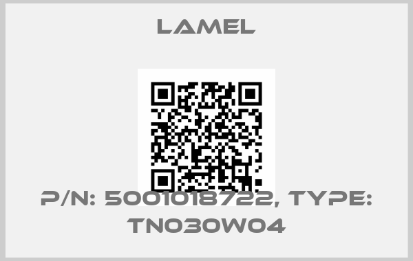 Lamel-P/N: 5001018722, Type: TN030W04