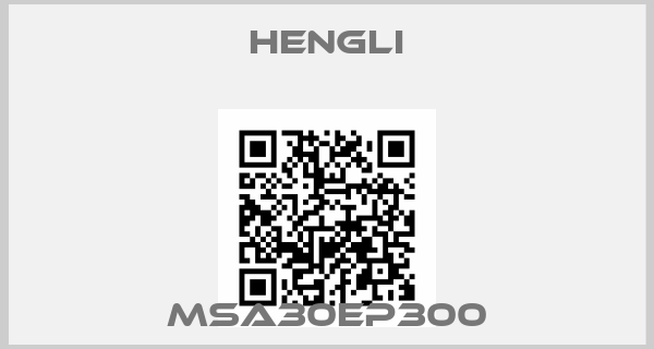 Hengli-MSA30EP300
