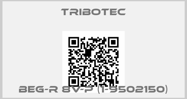 Tribotec-BEG-R 8V-P (1-9502150)