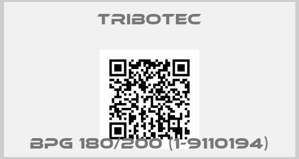 Tribotec-BPG 180/200 (1-9110194)