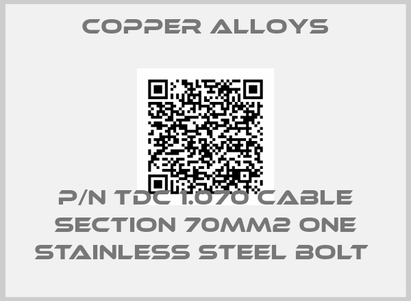 Copper Alloys-P/N TDC 1.070 CABLE SECTION 70MM2 ONE STAINLESS STEEL BOLT 